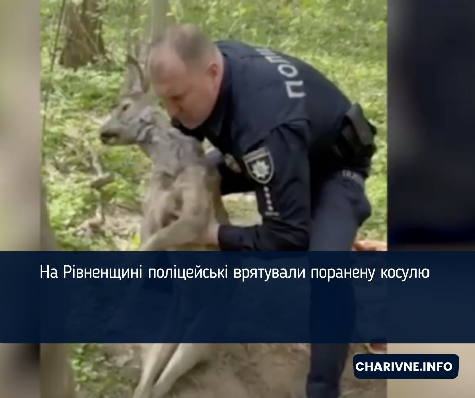 Фото ілюстративне